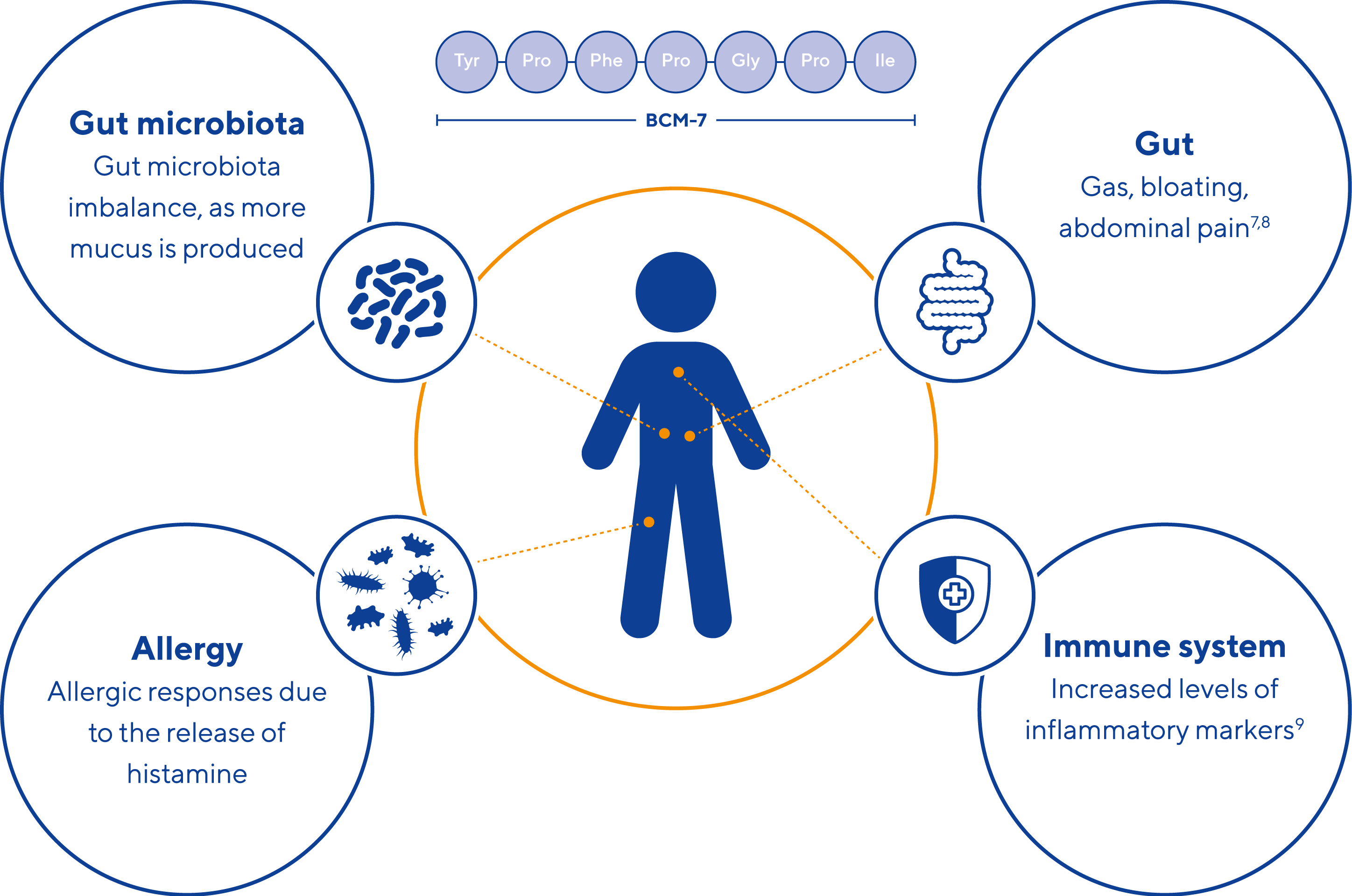 A2_Visual_After-digestion_Compleet