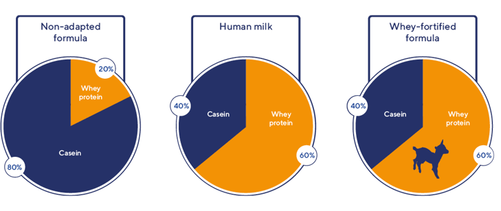 Whey_casein