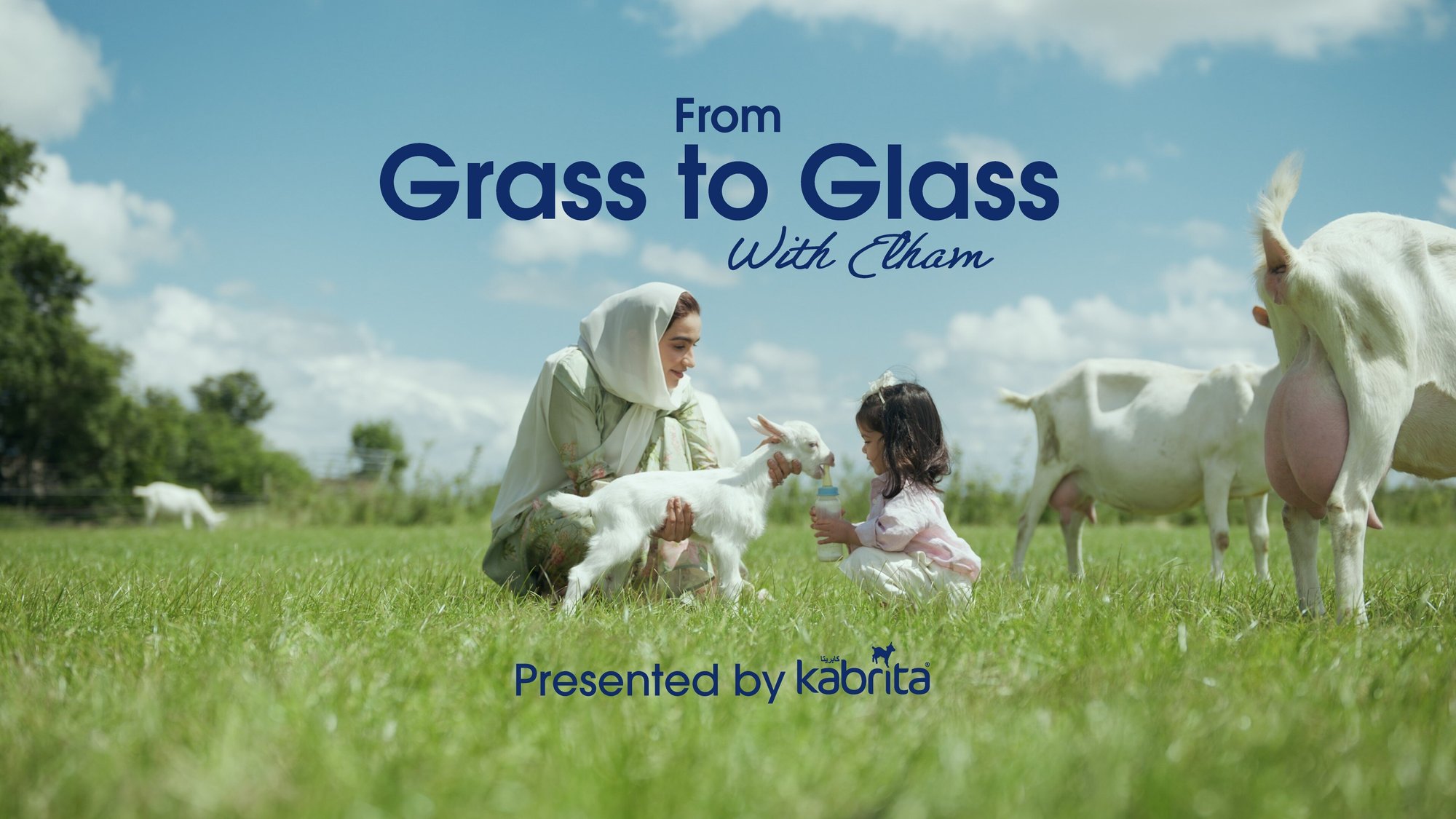 Grass to Glass