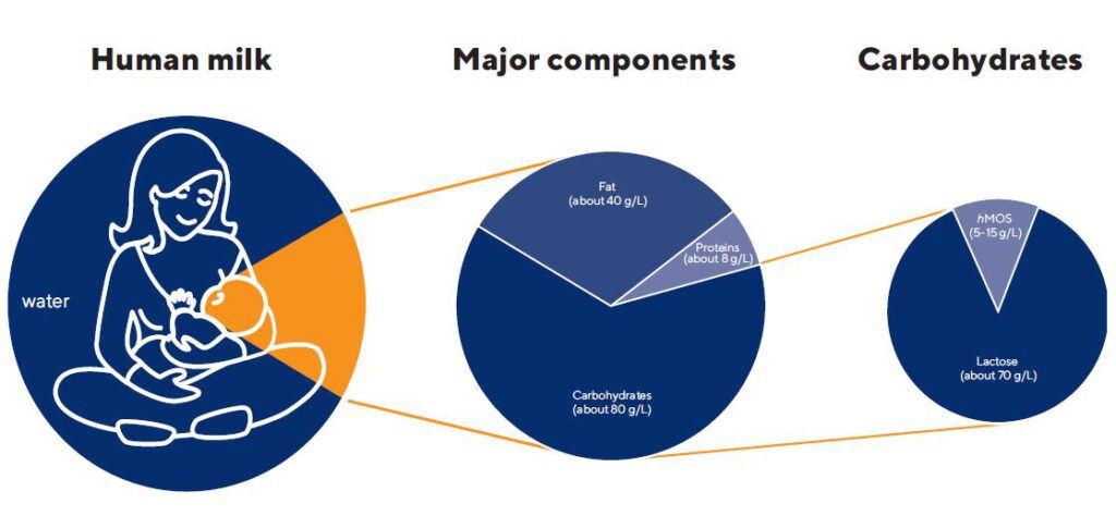 human-milk_Knipsel-1024x485